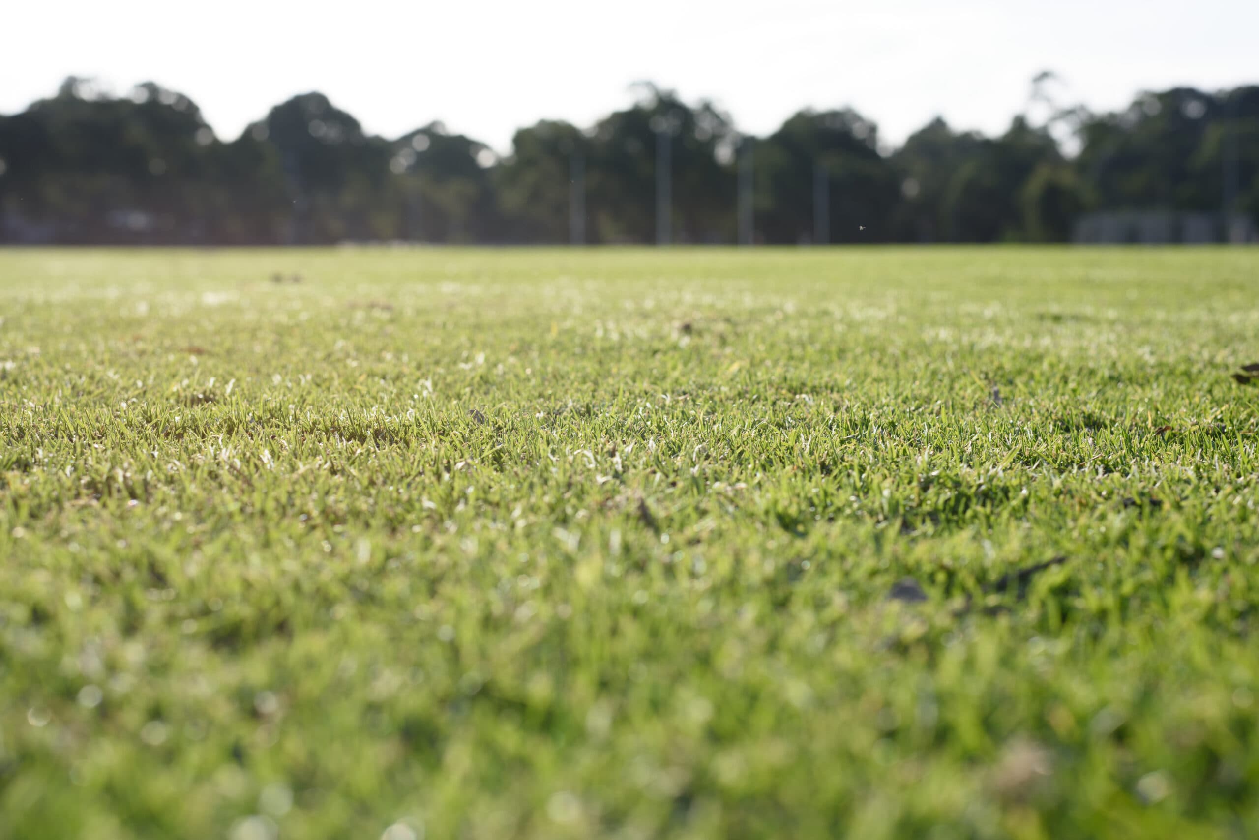 Gramados ruins: por que eles aumentam o risco de lesões no futebol?